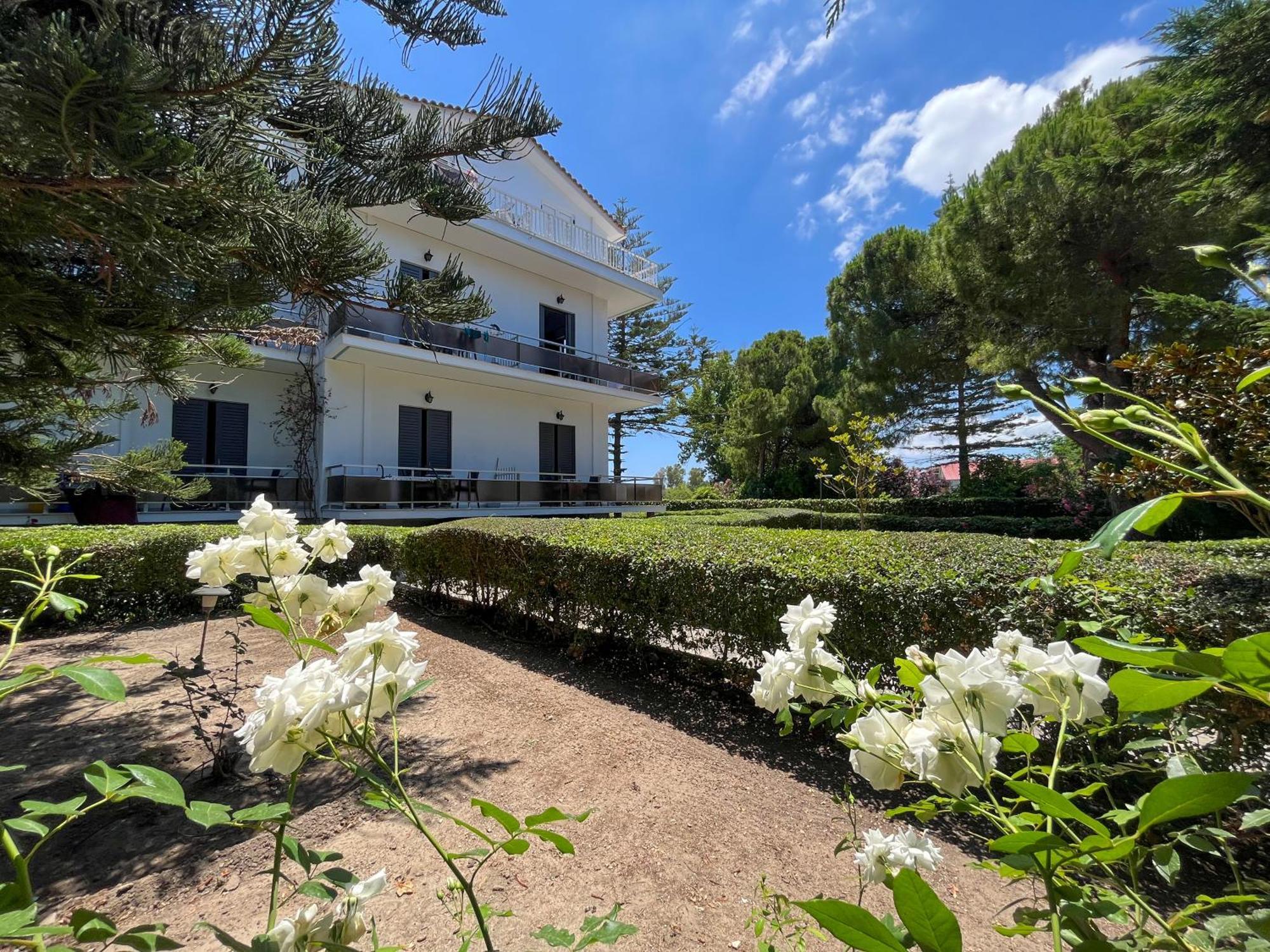 Pettas Apartments Zakynthos Town Exterior photo