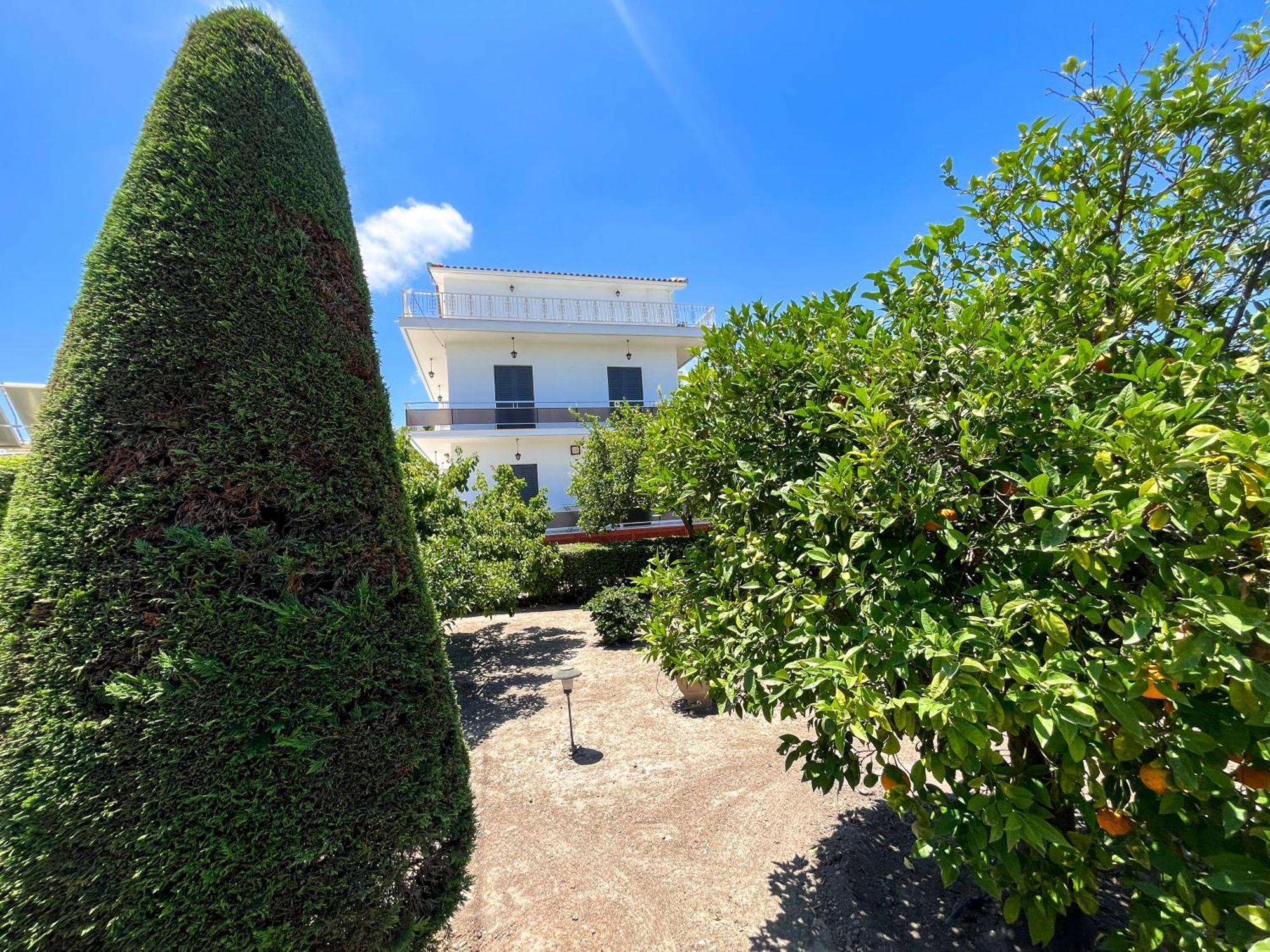 Pettas Apartments Zakynthos Town Exterior photo